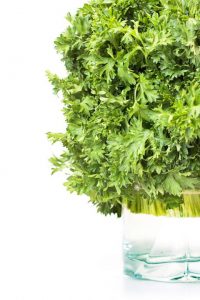 Gut Health effects to your body