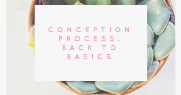 Conception Process: Back to Basics