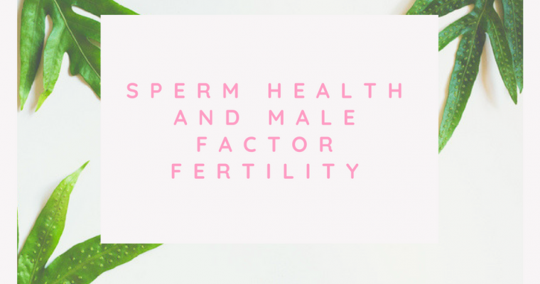 Sperm Health and Male Factor Fertility