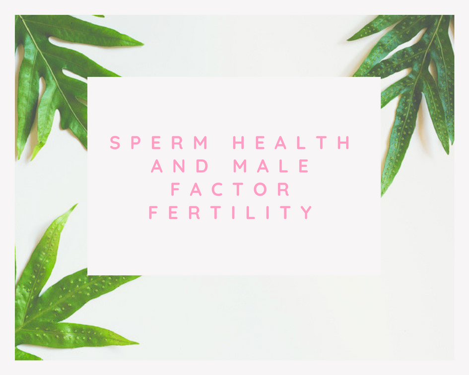 Sperm Health and Male Factor Fertility