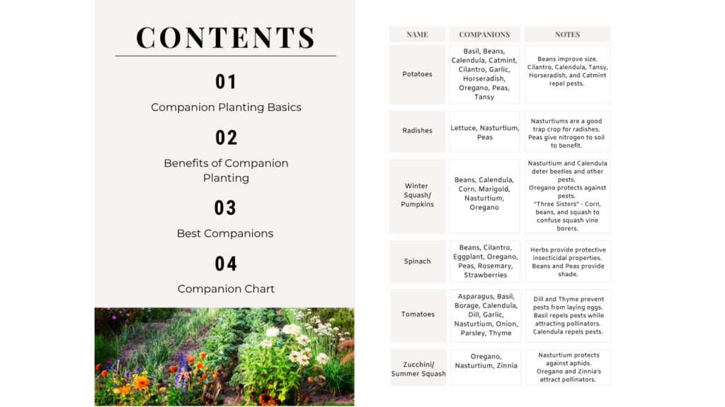 Printable pages from the companion planting guide showing plant pairings and charts