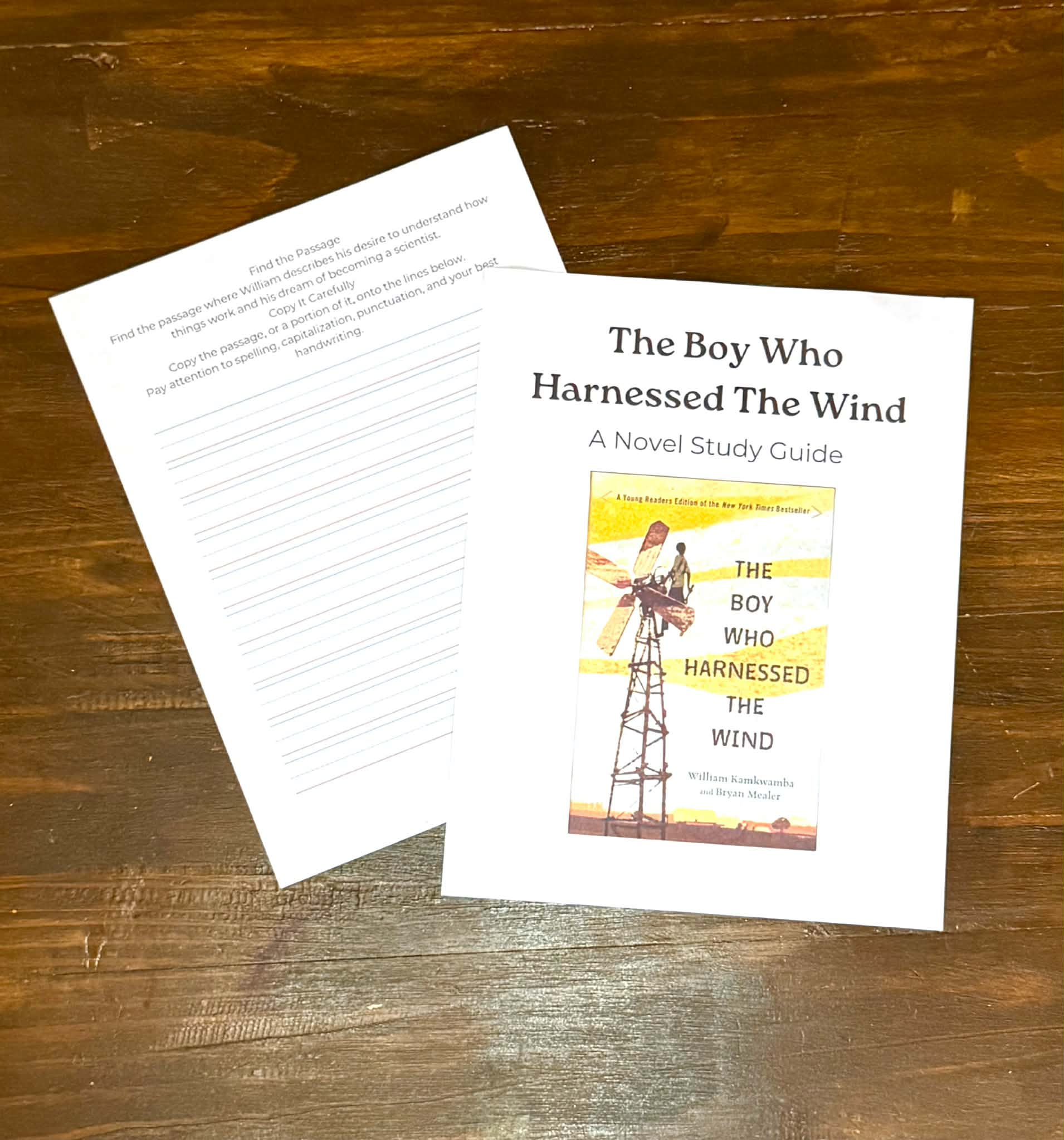 The Boy Who Harnessed the Wind Novel Study | Homeschool Literature Guide - Image 3
