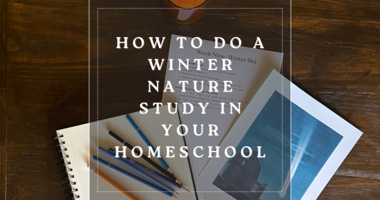 How to Do a Winter Nature Study in Your Homeschool