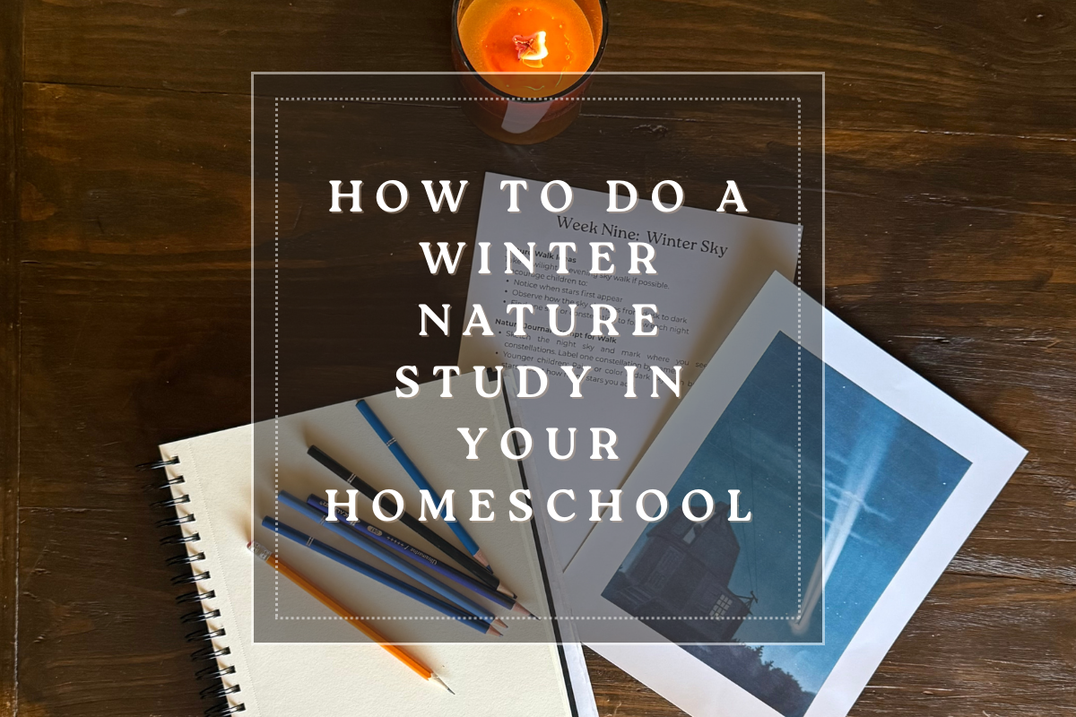 How to Do a Winter Nature Study in Your Homeschool